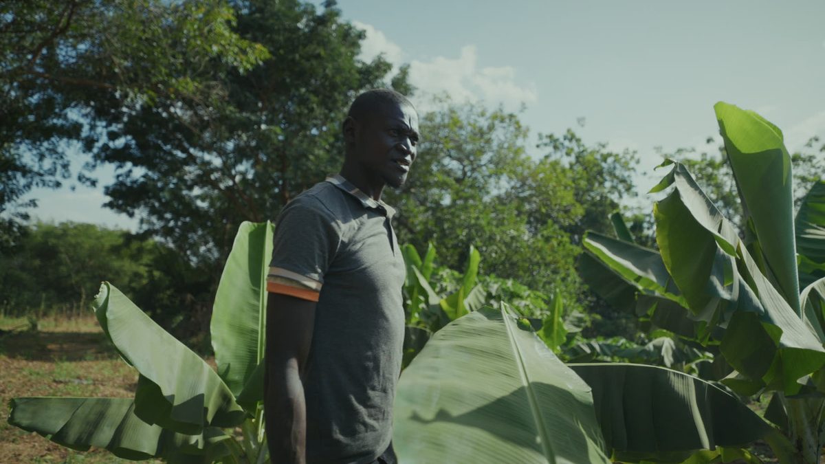 Rao Amadou zwischen Bananenstauden auf der Biolehrfarm Tondtenga